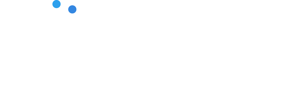 Kaushik Consulting
